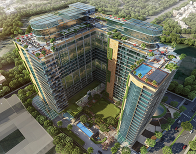 Anthurium Real Estate