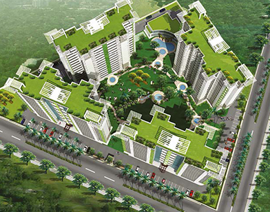 Caladium Real Estate